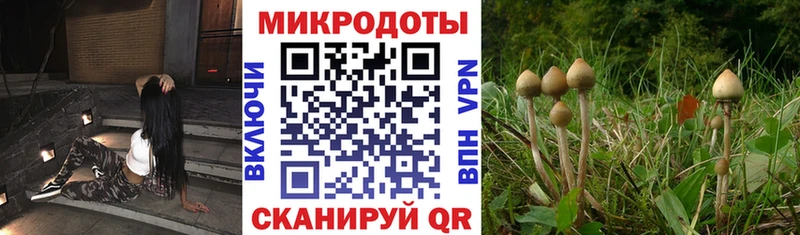сколько стоит  Вилюйск  Галлюциногенные грибы MAGIC MUSHROOMS 